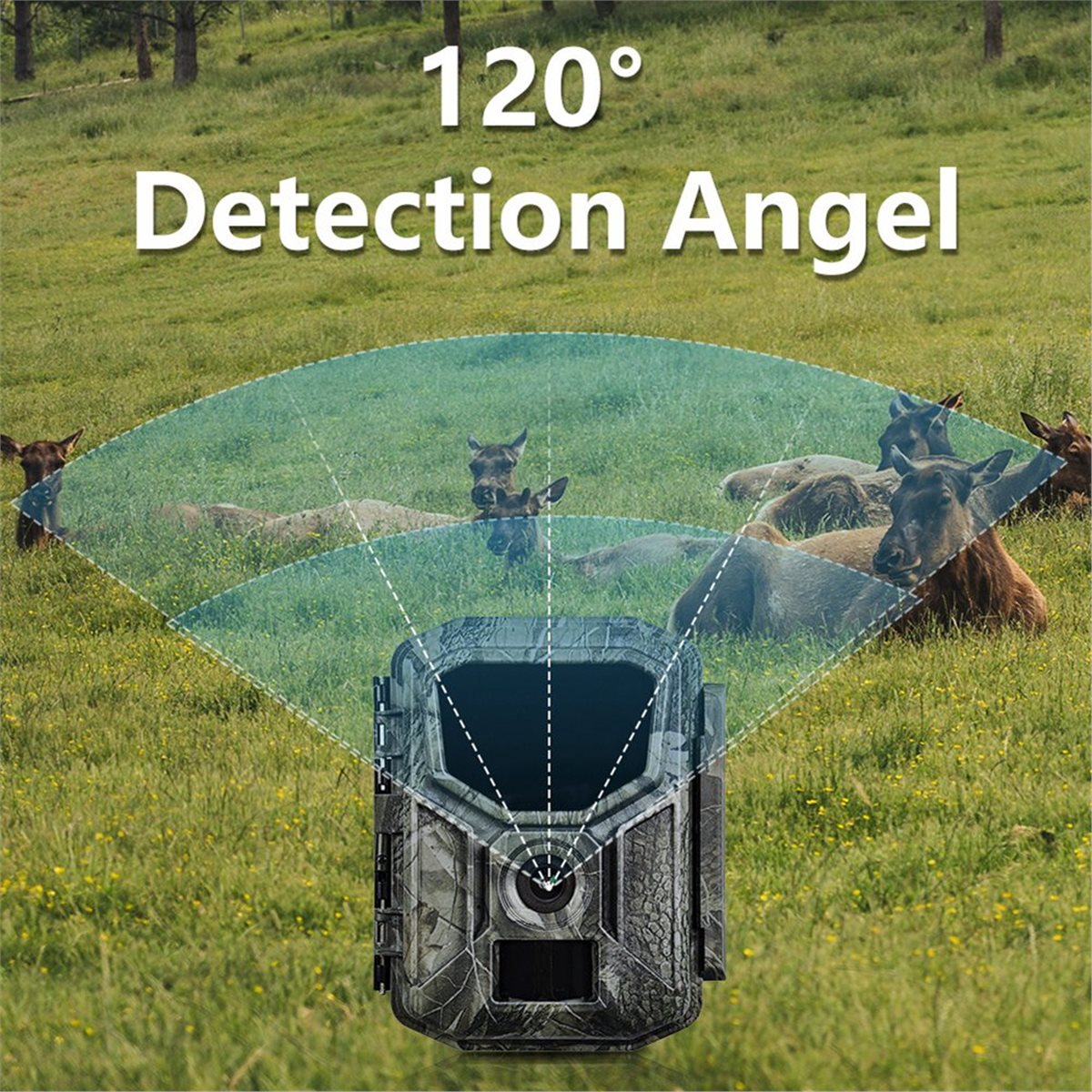 Caméra de chasse 8K HD avec vi - Hunting Outdoor Rug avis et prix