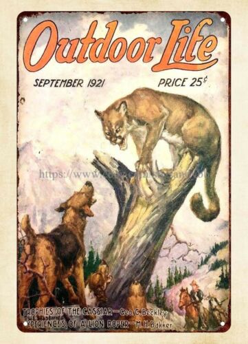 Pancarte métallique en étain « - Hunting Dog Outdoor avis et prix